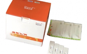 豬瘟抗原膠體金快速檢測(cè)卡